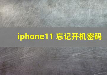 iphone11 忘记开机密码